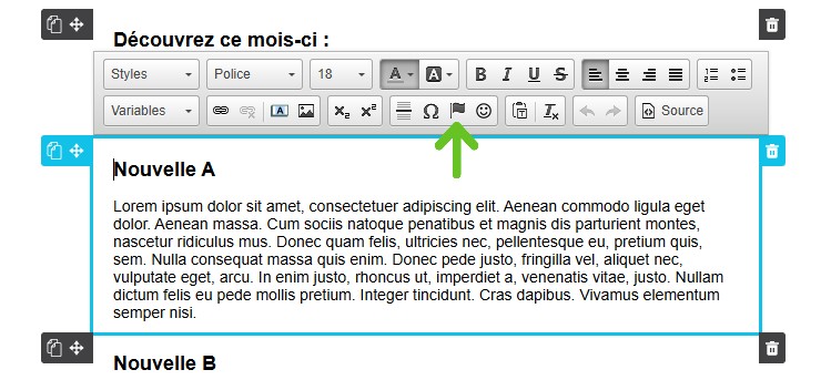 S&eacute;lectionner le drapeau