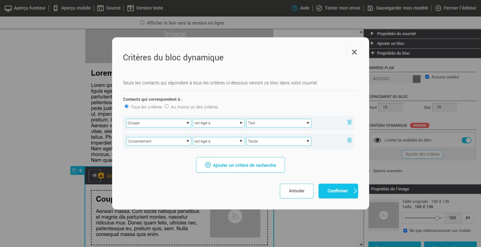Crit&egrave;res du bloc dynamique